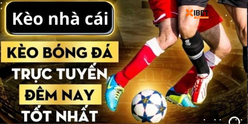 Nhà cái sẽ cập nhật các kèo nhanh chóng